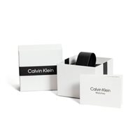 Watch Calvin Klein Man in Steel 25200213 - 25200213
